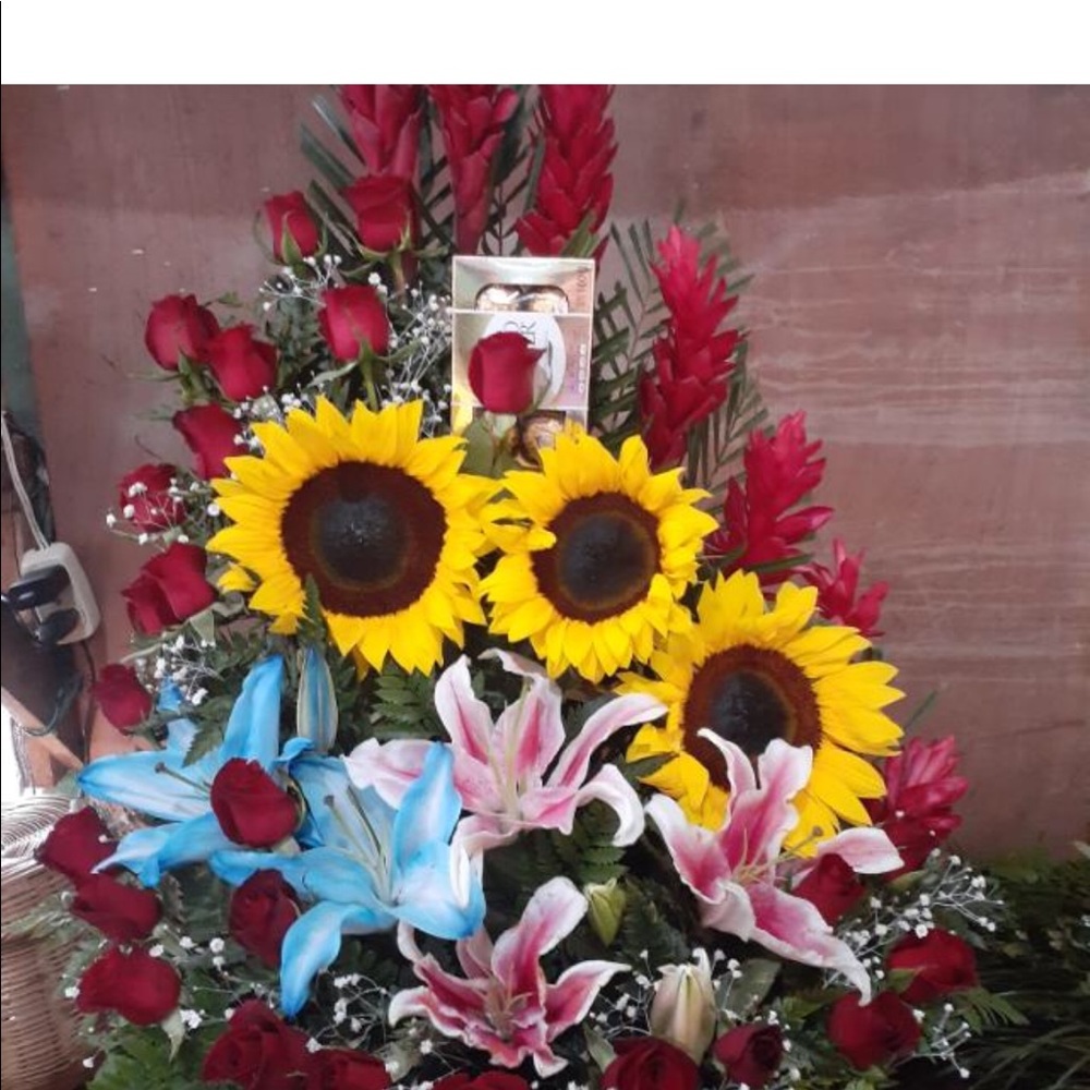 Meet your Posher, Isa